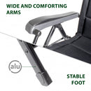 Poltrona Swan 3D - Brunner